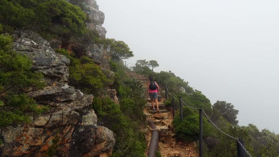 Table Mountain: Easy walk for the Whole Family - PRIVATE - Camps Bay, Bakoven, and Lion’s Head from above