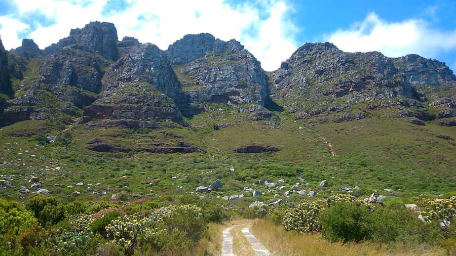 Table Mountain: Easy walk for the Whole Family - PRIVATE - Pickup from Cape Town keeps the morning easy
