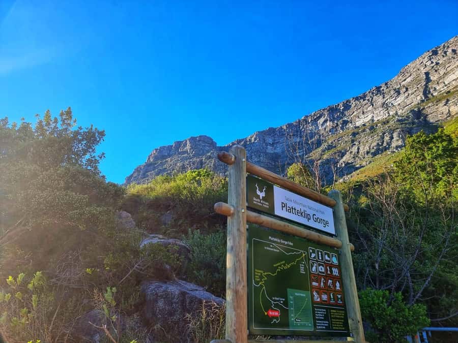 Table Mountain Group Hike - Solo Travelers welcome - Key points to know before you book
