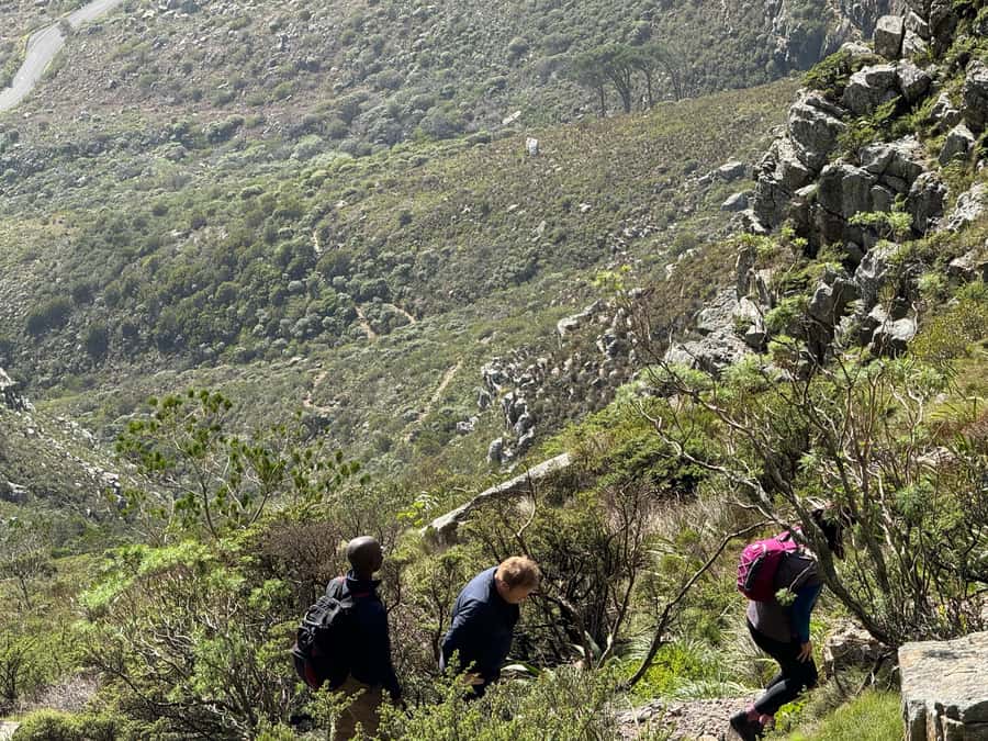 Table Mountain Group Hike - Solo Travelers welcome - Starting on Tafelberg Road