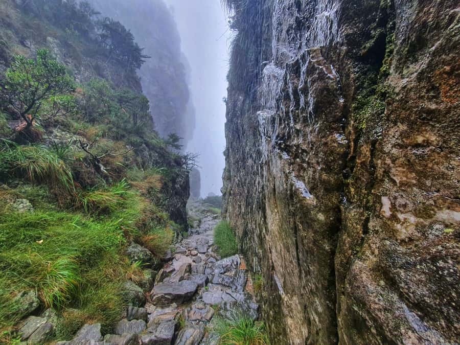 Table Mountain Group Hike - Solo Travelers welcome - Reaching the Upper Cable Car Station
