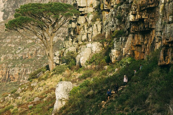 Table Mountain Guided Hike-epic adventure for all fitness levels - The best part may be breakfast above the city