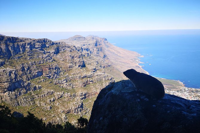 Table Mountain Half Day Hike: India Venster Trail - Reaching the Table Mountain summit