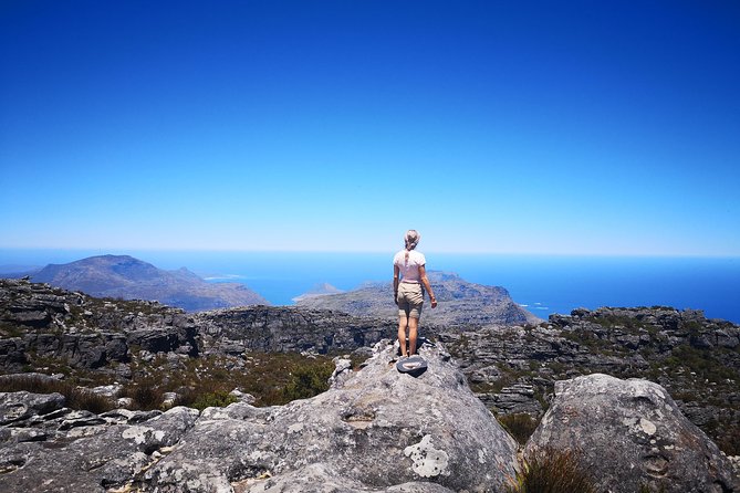 Table Mountain Half Day Hike: Platteklip Gorge - The guide’s local knowledge adds more than directions