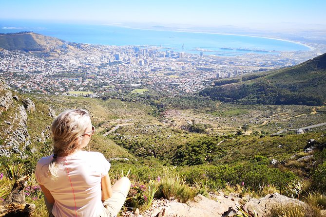 Table Mountain Half Day Hike: Platteklip Gorge - Is $95.24 good value?