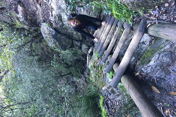 Table Mountain Hike (All routes) - Private Tour - Reaching the summit and riding down