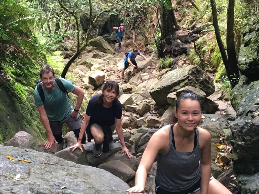 Table Mountain Hike with Local Tour Guide - A realistic look at timing, pickup, and group size