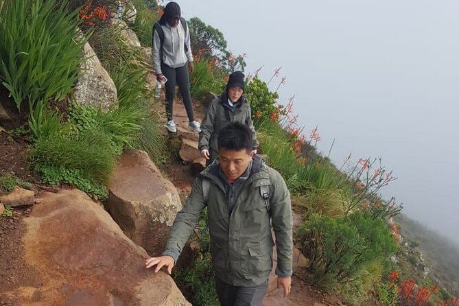 Table Mountain Hiking - India Fenster For A More Adventurous Climb