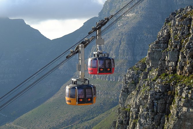 Table Mountain, Kirstenbosch and Constantia Winelands Full Day Private Tour - Timing, weather, and what to bring