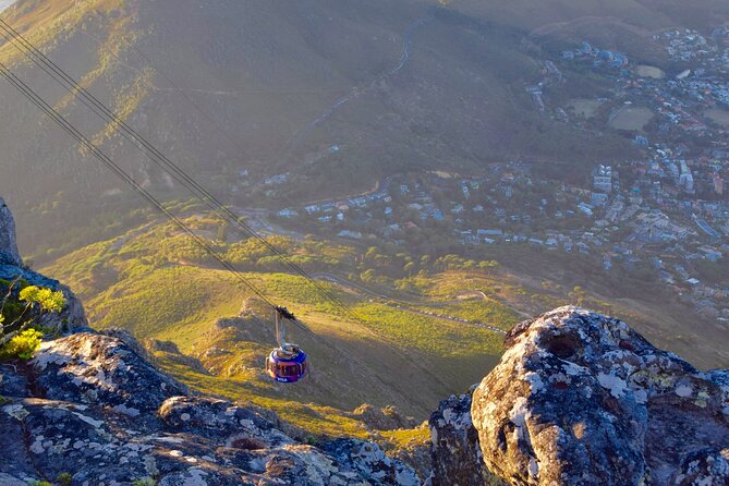 Table Mountain & Mandela Freedom Full Day Tour - What the $200.54 price really covers