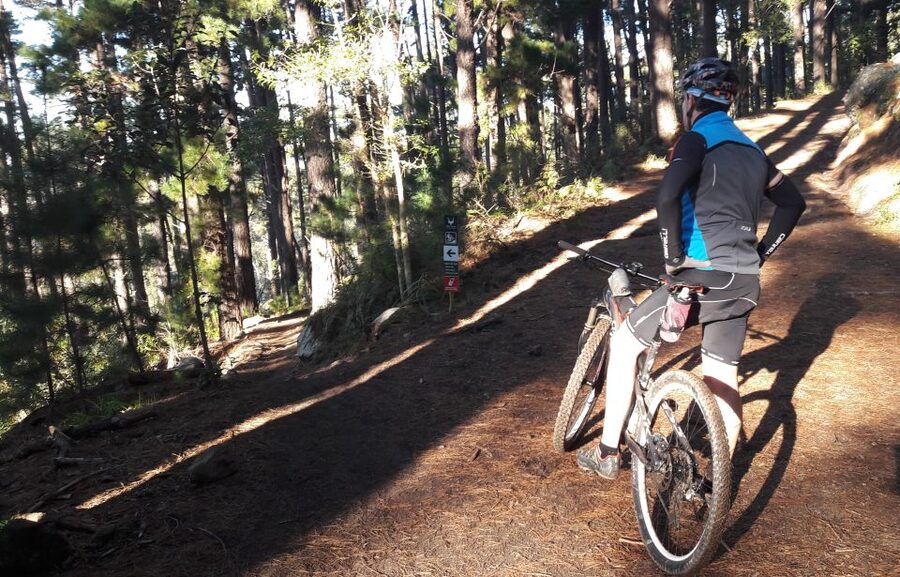 Table Mountain: Mountain Biking to Constantia Wine Estate - From Table Mountain cableway to the first three kilometers