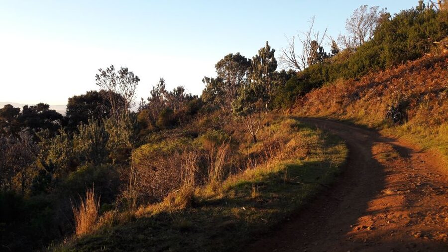 Table Mountain: Mountain Biking to Constantia Wine Estate - Fitness, safety, and what to bring