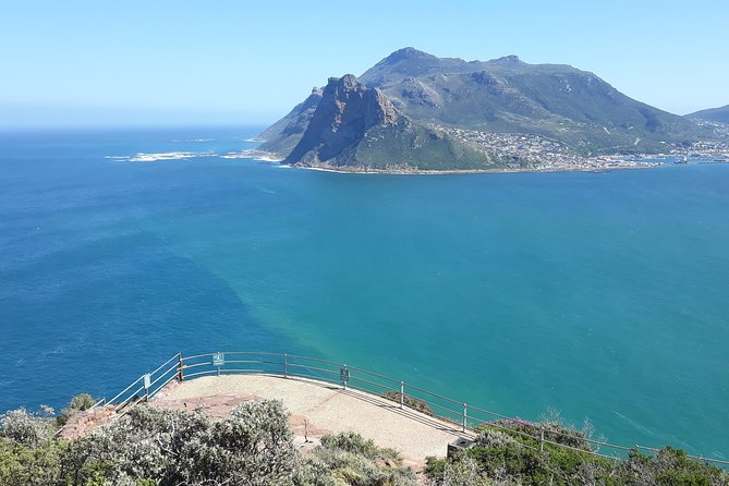 Table Mountain, penguin and Cape of good hope Fees included - Noordhoek adds coffee and a quieter beach view