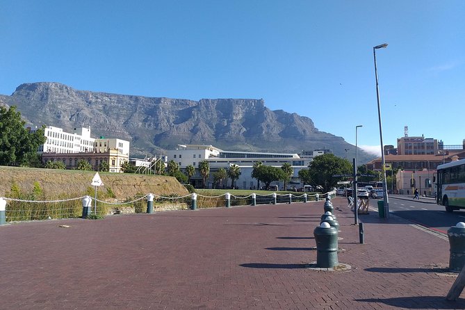 Table Mountain, Penguins, Cape of good hope and Stellenbosch tour - Why this packed Cape Town day works