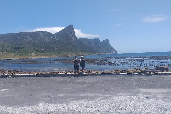 Table Mountain, Penguins, Cape of good hope and Stellenbosch tour - Chapman’s Peak Drive is the scenic road highlight