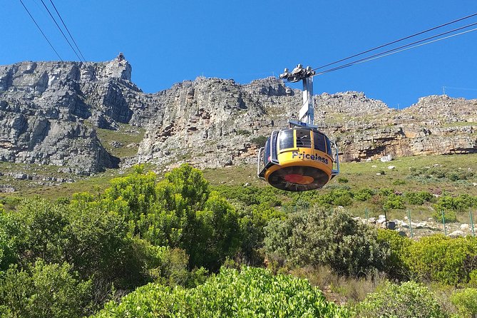 Table Mountain, Penguins, Cape of good hope and Stellenbosch tour - Noordhoek offers a short coffee and craft break