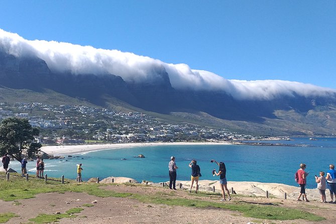Table Mountain, Penguins, Cape of good hope and Stellenbosch tour - Cape Point Nature Reserve shows the wild side of the peninsula