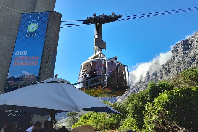 Table Mountain, Penguins & Cape of Good Hope Private Tour - Key points before you book
