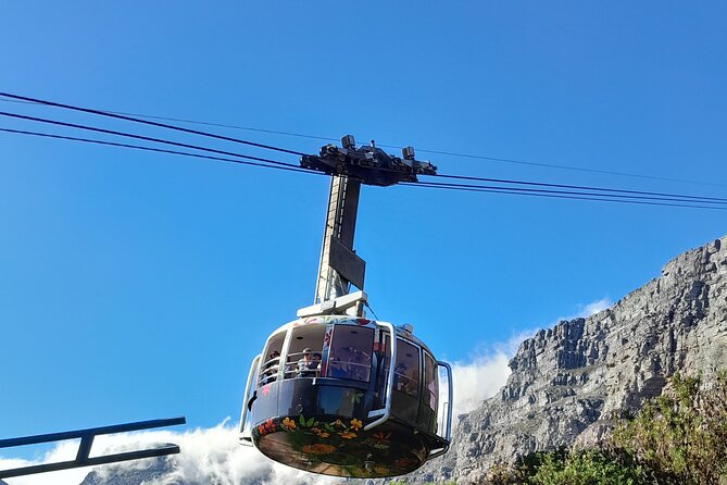 Table Mountain, Penguins & Cape of Good Hope Private Tour - Hout Bay offers a flexible midmorning stop