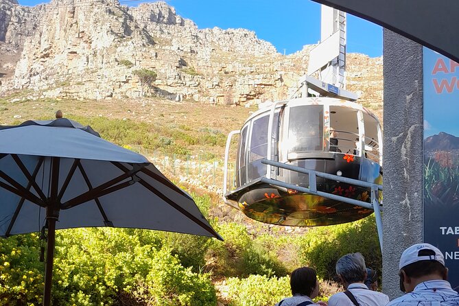 Table Mountain, Penguins & Cape of Good Hope Private Tour - Cape of Good Hope puts you in open nature