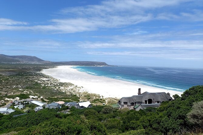 Table Mountain, Penguins & Cape of Good Hope Small Group Tour - Simon’s Town, Just Nuisance, and Seaforth Beach