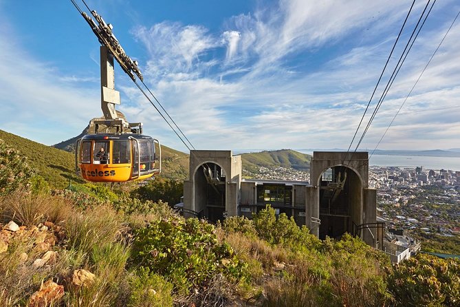 Table Mountain, Penguins Colony and Cape of Good Hope Small Group Shared Tour - Chapman’s Peak Drive: one of the finest roads on the route