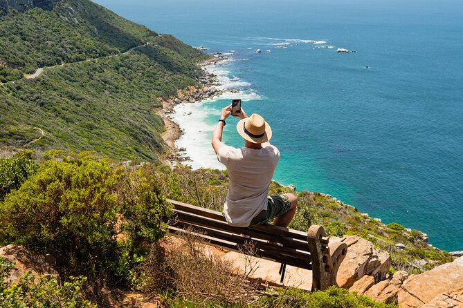 Table Mountain, Penguins Colony and Cape of Good Hope Small Group Shared Tour - Boulders Beach: the African penguins require an extra ticket
