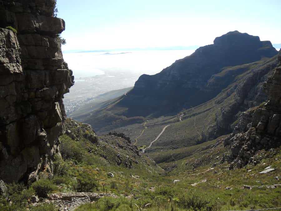 Table Mountain: Platteklip Gorge Hike - The natural details along the way