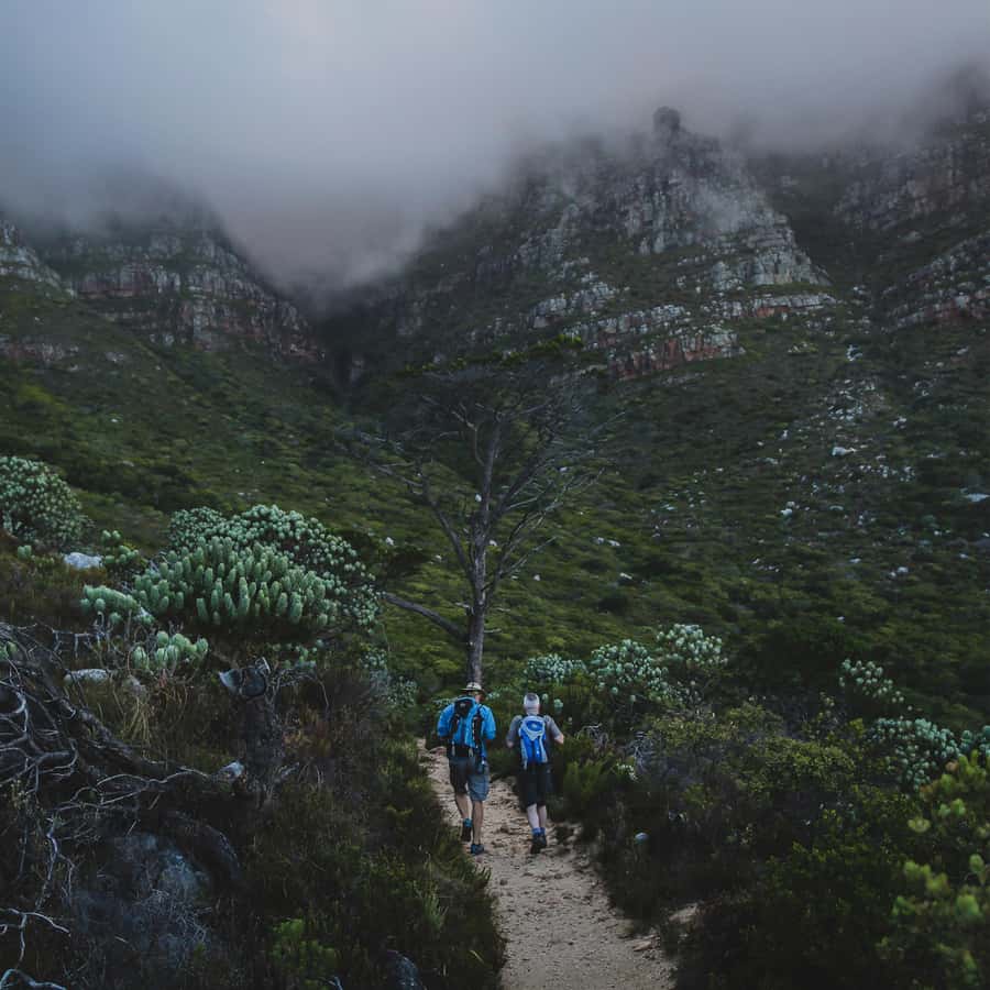 Table Mountain: Skeleton Gorge Hike - Why this Table Mountain route is worth your time