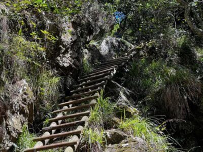 Table Mountain: Skeleton Gorge Hike