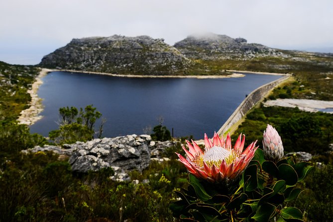 Table Mountain Summit Hike via Kasteelspoort - Why Kasteelspoort is a strong route to the summit