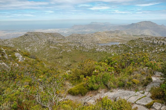 Table Mountain Summit Hike via Kasteelspoort - What the guide adds to the walk