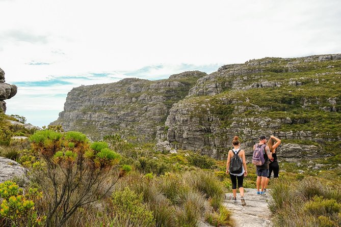 Table Mountain Summit Hike via Kasteelspoort - Who should book this hike?