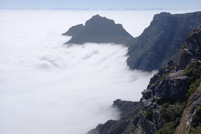 Table Mountain Summit Walk for the Whole Family - PRIVATE - What the guides add to the walk