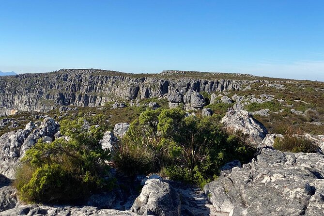 Table Mountain Tour including Pick Up & Drop Off from Cape Town - The Table Mountain cableway is the centerpiece