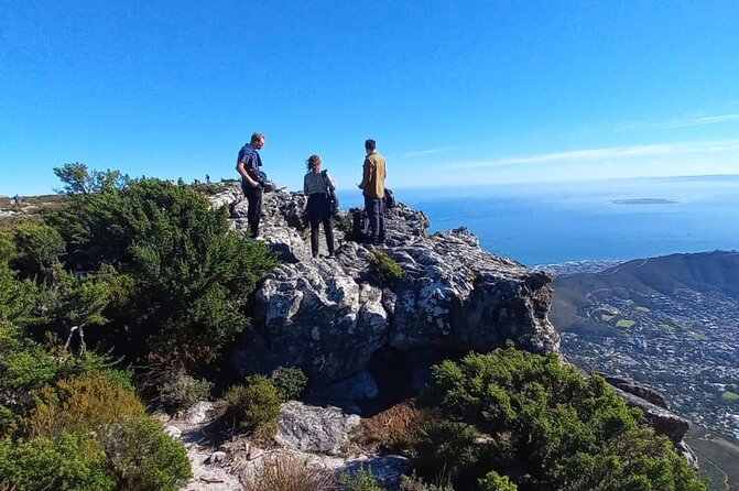 Table Mountain Tour including Pick Up & Drop Off from Cape Town - What the private setup means in practice