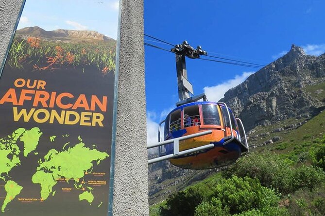 Table Mountain: Vibrant Colorful Houses Along the Path" - Who should book this three-hour experience?
