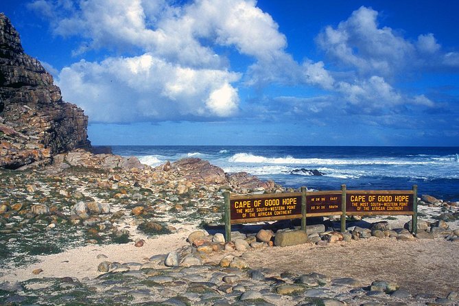 Table Mountain-Wines-Penguins-Cape Point All Inclusive Group Tour - Cape Point Vineyards and the wine tasting
