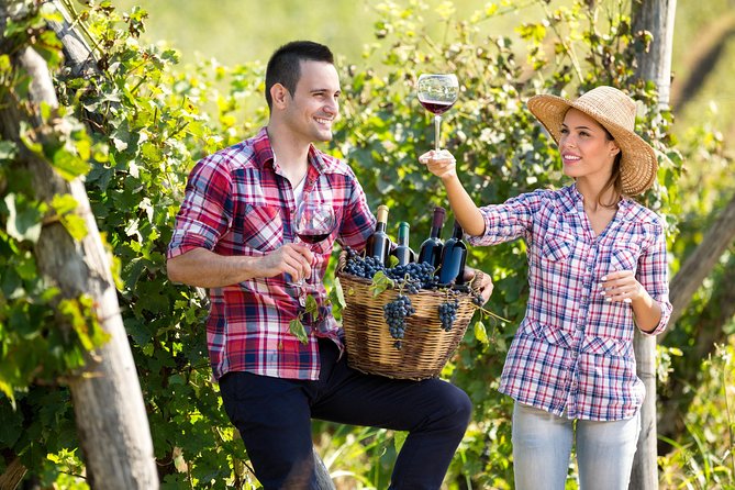 Tailor made Stellenbosch & Franschhoek Winelands Full day Tour. - Why a private vehicle makes sense in the Cape Winelands