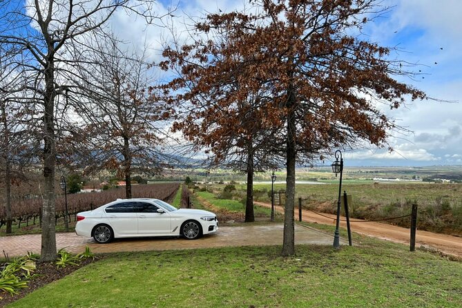 Tailor made Stellenbosch & Franschhoek Winelands Full day Tour. - Marianne Wine Estate pairs wine with biltong