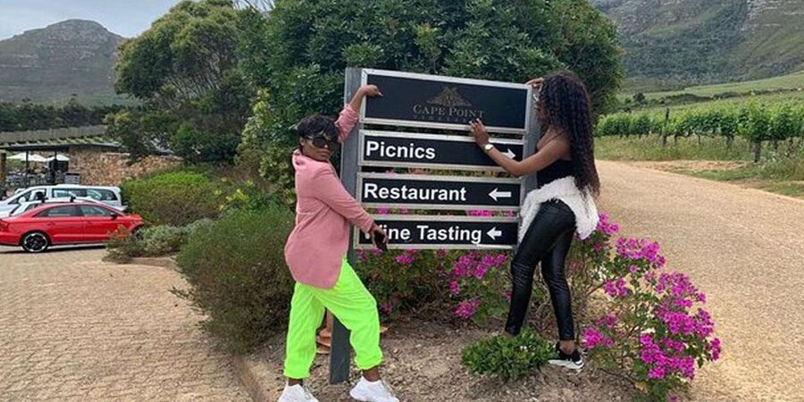 Tailor made Stellenbosch Winelands Full Day Tour - What the $155 price really covers