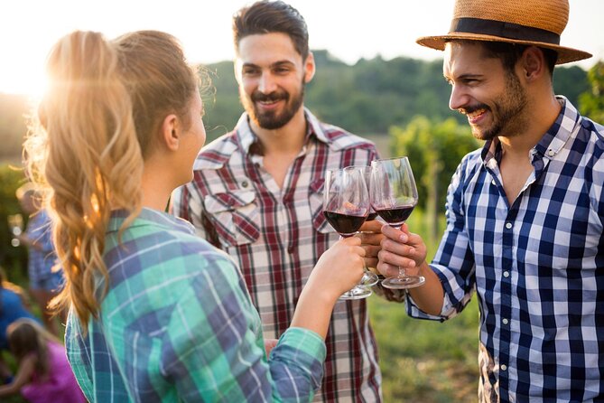 Taste + Tram the Winelands Tour: Franschhoek, Stellenbosch, Paarl - A full day from Cape Town to the Cape Winelands