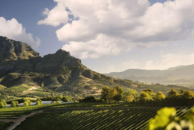 Taste + Tram the Winelands Tour: Franschhoek, Stellenbosch, Paarl - Rickety Bridge or Plaisir: a variable wine stop