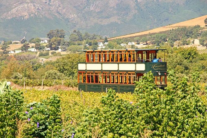 Taste + Tram the Winelands Tour: Franschhoek, Stellenbosch, Paarl - Muratie closes the day with character