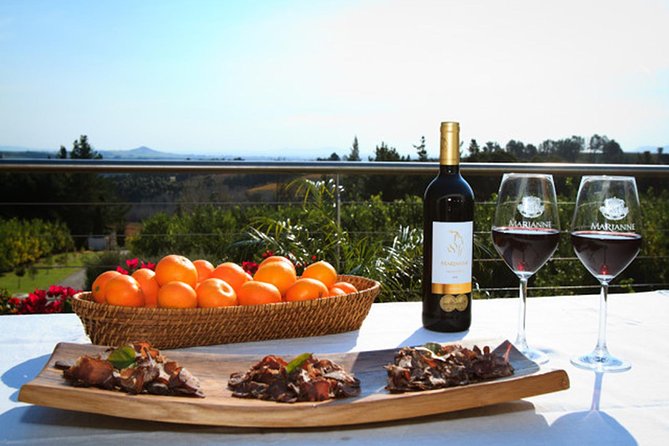 Tastes of Stellenbosch Wine Full Day Tour with Private Transfer - Clos Malverne’s wine and ice cream finish