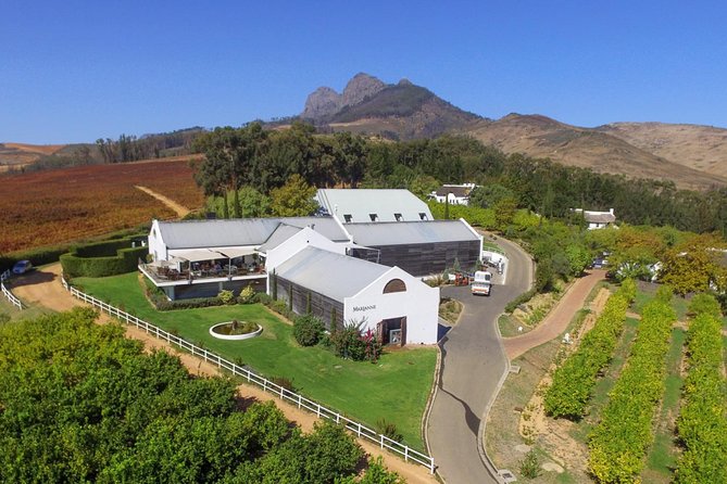 Tastes of Stellenbosch Wine Full Day Tour with Private Transfer - Wine tasting, children, and practical limits