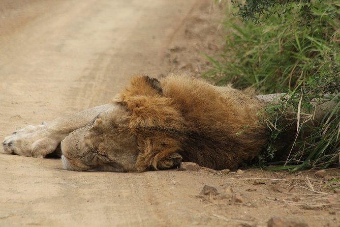 The Best of Zululand's Big 5 reserves - For the Discerning guest - Hluhluwe-iMfolozi: three hours in an historic reserve