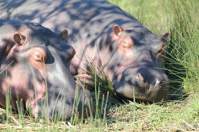 The Best of Zululand's Big 5 reserves - For the Discerning guest - Zamimpilo Community Market and the human side of the trip