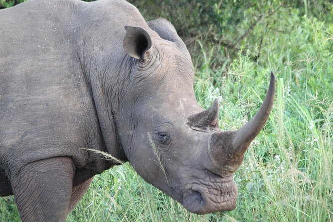 The Best of Zululand's Big 5 reserves - For the Discerning guest - The sunrise drive and the rhino focus