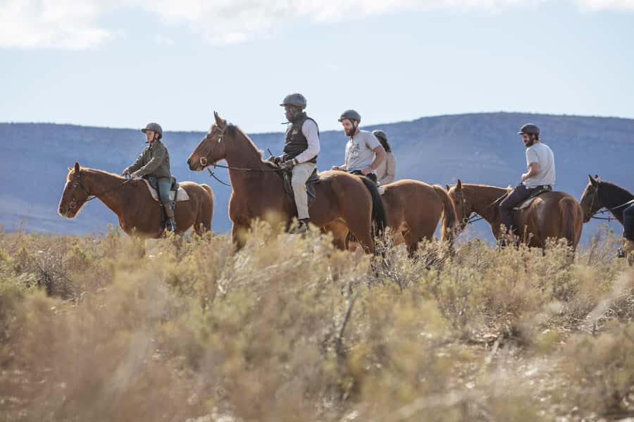 The Best Private Cape Town Safari Day Trip - Aquila Big 5 - Why Aquila works as a Cape Town day trip
